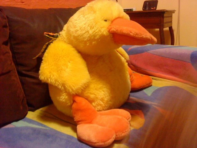 llévate este peluche totalmente gratis por la compra de media docena